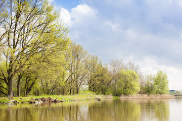 Fototapeta na wymiar spring landscape with a pond, Czech Republic