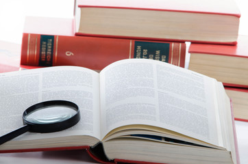 offenes Buch mit Lupe