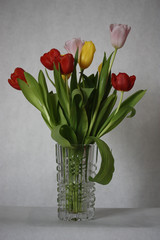 Fresh Tulips in a Vase