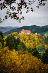 Castle in forrest