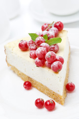 vanilla cheesecake with red currants, close-up