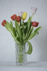 Tulips in a vasa