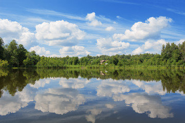 Fototapeta premium Water landscape with the wood and reflection