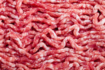 fresh raw minced meat