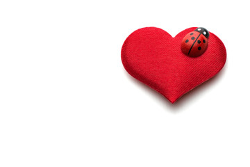 Hearts and ladybug for valentines day concept