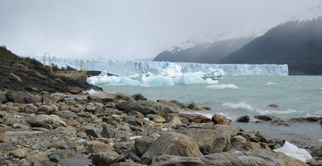 argentine