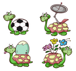 fun turtles