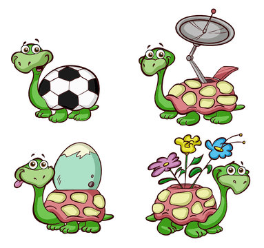 fun turtles