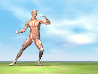 Male musculature ready to fight - 3D render