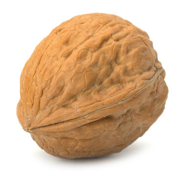 walnut isolated on the white background