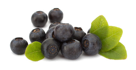 Fresh blueberries isolated on white background