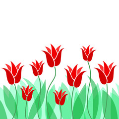 Spring flowers background