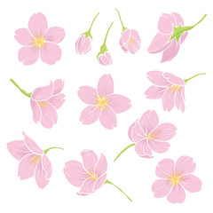 Obraz na płótnie Canvas CherryBlossom