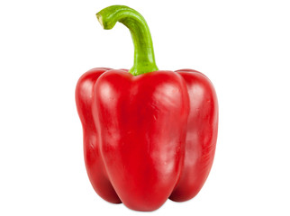 Red pepper on white background