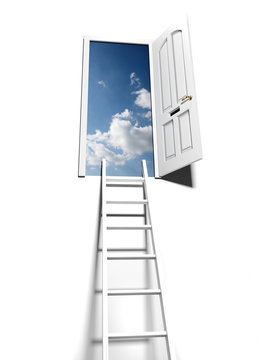 ladder of success