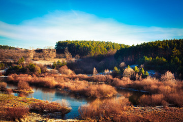 Landscape and forest and a small pond