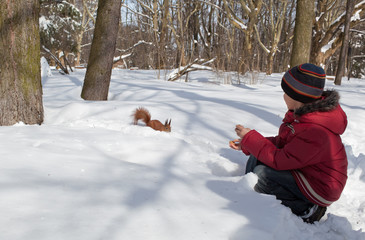 Fototapeta na wymiar Squirrel and little boy