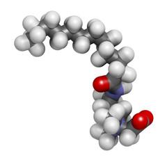 Cocamidopropyl betaine (CAPB) synthetic surfactant molecule.