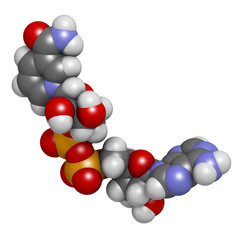 Nicotinamide adenine dinucleotide (NAD+) coenzyme molecule.