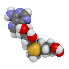 S-adenosyl methionine (SAM) molecule.