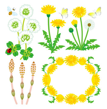 Spring Plants set