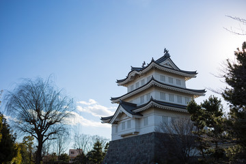Oshi castle