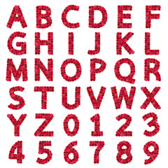 Rose flower alphabet Isolated with clipping part