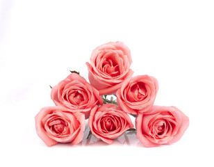 Obraz premium Background image of pink roses