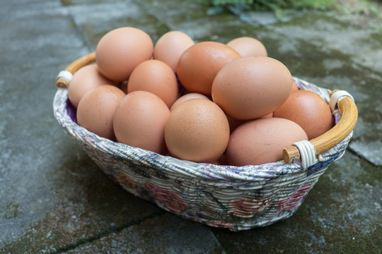 Brown eggs in a Sweet Flower Basket