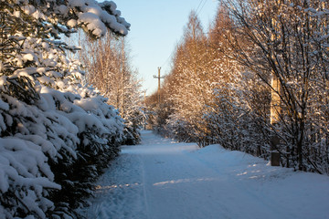 Snowy suburban road