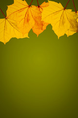 Autumn / Fall wallpaper with glowing leaves