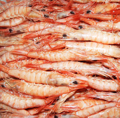 GAMBAS BLANCAS DE HUELVA. ANDALUCÍA