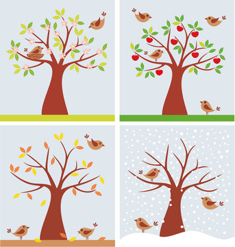 tree and cute birds in four seasons