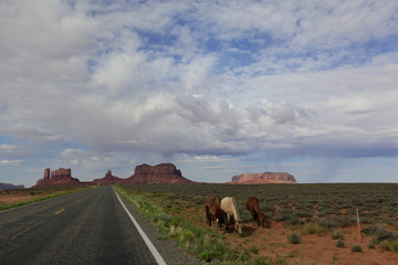 chevaux sauvages à monument Valley, Arizona