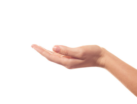 Asking Human Hand On White Background