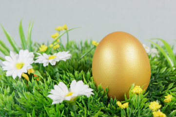 Obraz na płótnie Canvas egg on a green artificial grass with white flowers