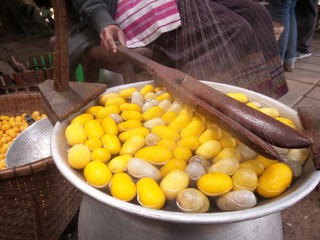 yellow cocoon silkworm