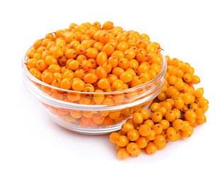 Sea buckthorn