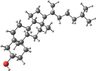 Cholesterole molecule on white background