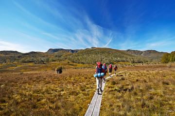 Hikers on Overland Trail in Tasmania, Australia - obrazy, fototapety, plakaty
