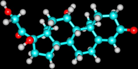 Hydrocortisone molecular structure on black