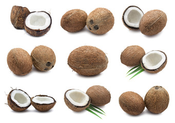 Coconuts - 60571908