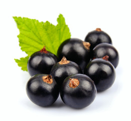 Black currant