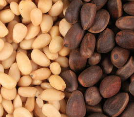 Bunch of pine nuts.