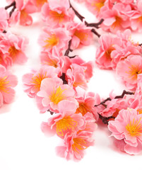 Naklejka na ściany i meble Close up of pink flowers.