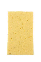 sponge