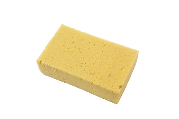 sponge