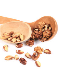 Shelled peanuts and walnut