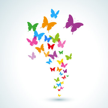 colorful butterflies taking flight