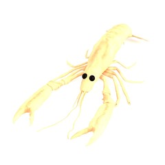 realistic 3d render of crustacean - scampi